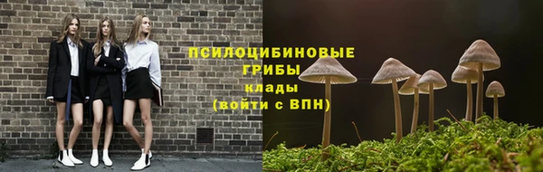 ECSTASY Алексин