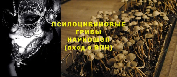 ECSTASY Алексин