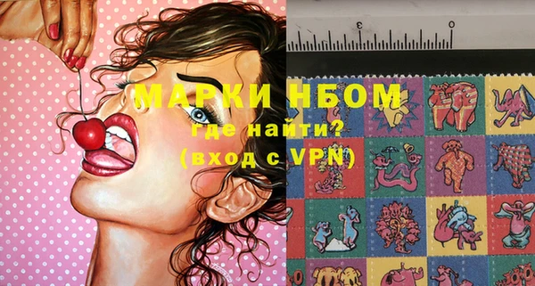 прущие грибы Кулебаки