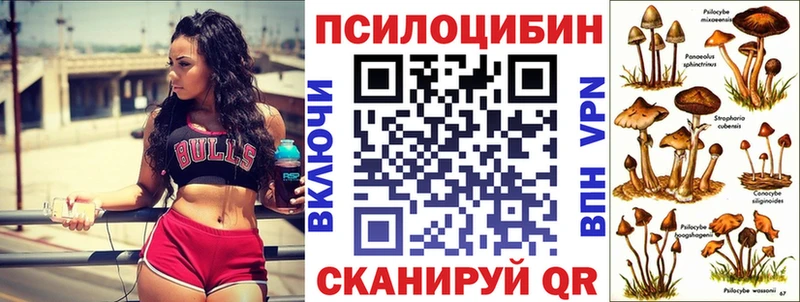 Галлюциногенные грибы Psilocybine cubensis  Сенгилей 